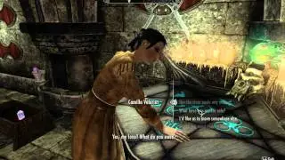 Skyrim Dont forget to check in with your virtual wife!