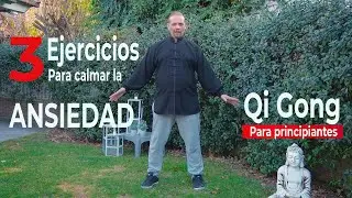 3 ejercicios para calmar ansiedad - Qi Gong para principiantes (chi kung ejercicios)