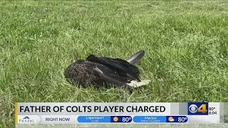 Indianapolis Colts safety Rodney Thomas II&rsquo;s father charged after reportedly shooting bald eagle to