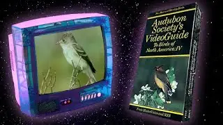 Audubon Society's VideoGuide To Birds of North America: IV (Mastervision, 1988)