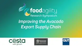 Improving the avocado export supply chain
