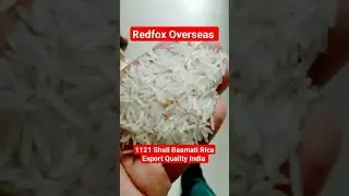 1121 Shell Basmati Rice Export Quality India | Shella Basmati Rice Exporter India #redfoxoverseas