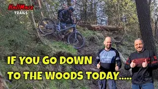 Macclesfield MTB - It's All About The Forest