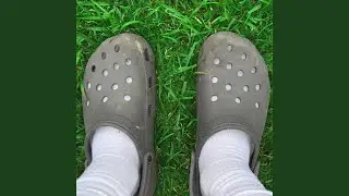 Croc Walk
