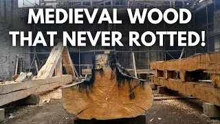 Medieval Wood That NEVER Rotted&mdash;Here&rsquo;s How They Did It
