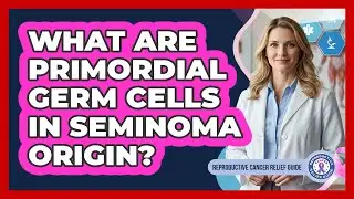 What Are Primordial Germ Cells In Seminoma Origin? - Reproductive Cancer Relief Guide