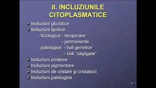 CURS 7 Citosol  Incluziuni  Motilitate 1