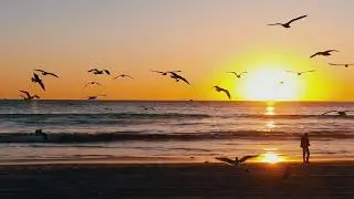 SOLUS - Short film Shot with RED EPIC W & DJI MAVIC AIR - ARIEL DRONE FOOTAGE