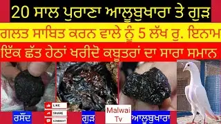 50 ਸਾਲ ਪੁਰਾਣੀ ਦੁਕਾਨ - 20 ਸਾਲ ਪੁਰਾਣਾ ਆਲੂਬੁਖਾਰਾ ਤੇ ਗੁੜ-ਗਲਤ ਸਾਬਿਤ ਕਰਨ ਵਾਲੇ ਨੂੰ 5 ਲੱਖ ਰੁ. ਇਨਾਮ-Malwai TV