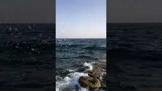 Сразу два моря / by Selin/ Gon by Selin/ юмор/рофл/ гон/исполнение