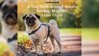 Boost your mental health at Dog Walk Around Roselle