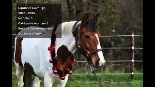 Roxy et Got Equifeel Cavalgo 2026 manche 1