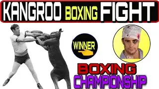 Kangro Fight With Man | Boxing Champion | Must Watch..