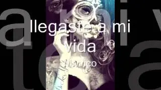 mr vico llegaste a mi vida