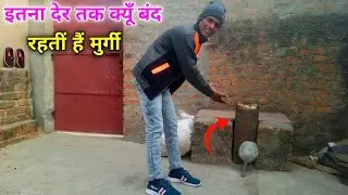 इतना देर तक , क्यूँ बंद रहतीं हैं मुर्गी || #couplevolgs 