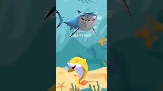 Baby Shark song video #babyshark