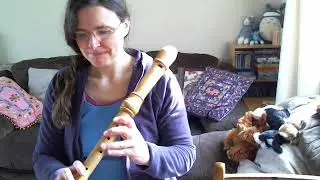 Recorder Comparison: Kung Superio and Mollenhauer Denner Tenor: The Indian Queen (reel)