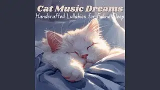 Feline Serenity