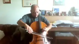 How the cello technique could be improved through Alexander principles skills in Performance