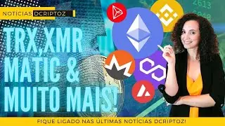 💥🚀Партнерство Google Cloud с сетью BNB | НОВОСТИ DCRIPTOZ