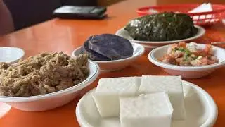 Open House Real Estate Electric Bike Tour  - Finish with Hawaiian Cuisine  on us.   Spectacular