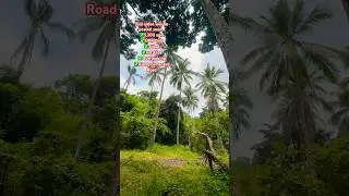 5,200 SQM - PHP 1.7M ONLY FARM FOR SALE IN LAGUNA - FULL VIDEO @ PROPERTY # 85 #cheaphugelots