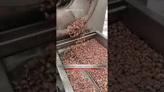 8 meters electromagnetic roaster machine to test cashew nuts