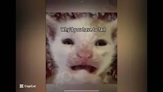 Jingle bells, your butt smells 💨￼￼