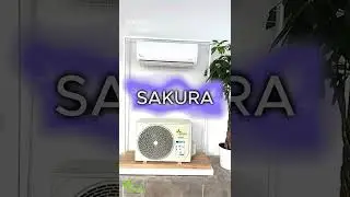Sakura Klima İlk Analiz Sonu&ccedil;ları Gelmeye Başladı