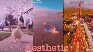Aesthetic TikToks | TikTok Compilation