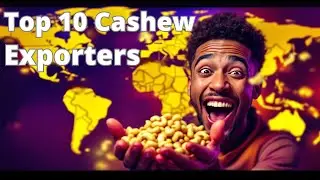 Cashew Powerhouses: The Top 10 Nations Behind Your Favorite Snack | Galaxy Commercial
