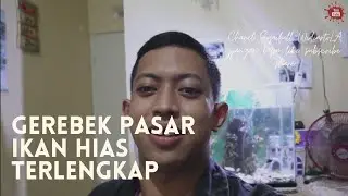GEREBEK PASAR IKAN HIAS TERBESAR DI SEMARANG - WOY SAMPAI BINGUNG SAKING BANYAK DAN BAGUS PARAH ..!!