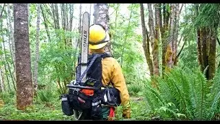 Демонстрационное видео Chainsaw Pack, июнь 2019 г.