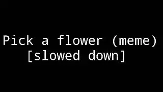 Pick a flower (meme) [slowed down]