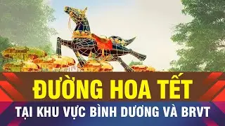 🔔Đường hoa Tết sẽ tổ chức tại khu vực B&igrave;nh Dương v&agrave; Vũng T&agrave;u