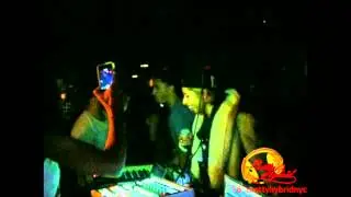 Pretty Hybrid With Our PRETTIES!