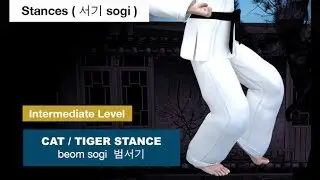 Taekwondo - Cat / Tiger Stance ( 범서기 beom sogi )