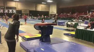 Morgan Gill Class of 2019  Vault 1