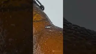 Why Do Water Bottles Get Wet on the Outside