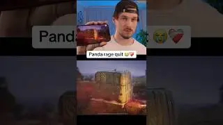 Panda Rage Quit 😡