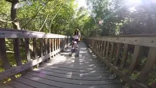 AK ZOO
