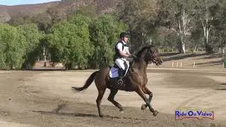107XC Tommy Greengard on Spartan Strength Open Preliminary Cross Country Galway Downs Nov. 2019