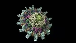 T4SS IcmX Plug Secretion by Effector Protein SidI 5 pm/ps Simulation Angled View