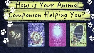 🔮ВЫБЕРИТЕ ГАДАНИЕ НА КАРТАХ ~ КАК ВАШЕ ЖИВОТНОЕ-КОМПАНЬОН ПОМОГАЕТ ВАМ ~ ПРЕДНАЗНАЧЕНИЕ ВАШЕГО ЖИ...
