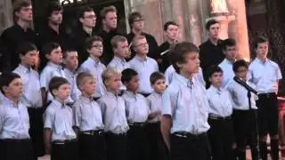 Les Pastoureaux - Teče, voda, teče