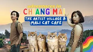 in search of arts & cats | The Artist Village, Mali Cat Cafe, best chicken noodle soup, night market