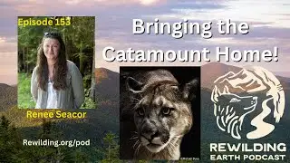Episode 153: Preparing For A Catamount Homecoming in the Northeast