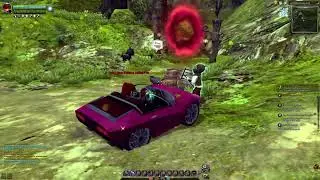 Where is Guard Dickinson? / Dragon Nest SEA