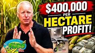 Sugarcane is one of the most profitable crops on earth - If sold like this