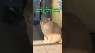ПРОСТОЙ СПОСОБ НАЛАДИТЬ РЕЖИМ СНА 😴